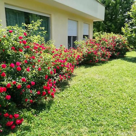 B&B Terra Del Sole Valmontone Ngoại thất bức ảnh