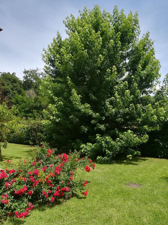 B&B Terra Del Sole Valmontone Ngoại thất bức ảnh