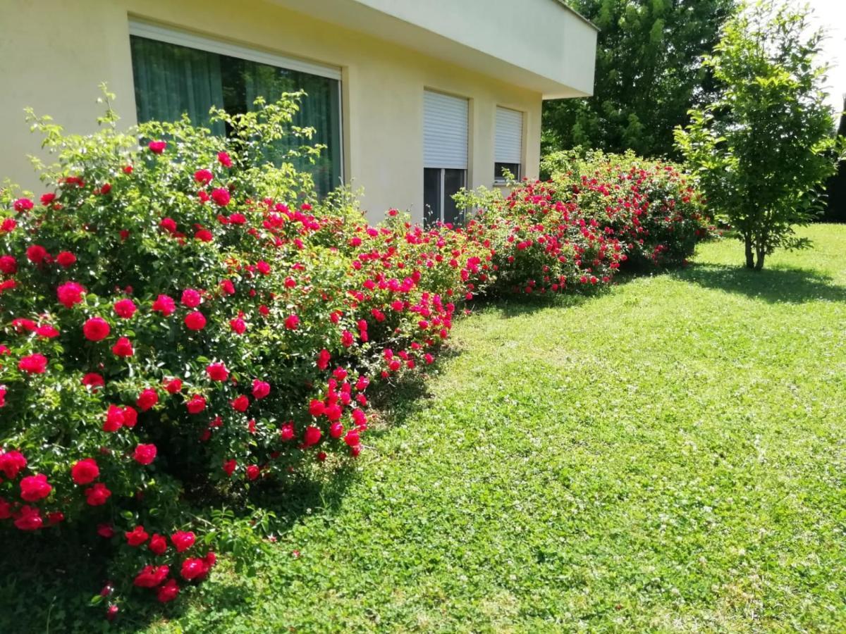 B&B Terra Del Sole Valmontone Ngoại thất bức ảnh